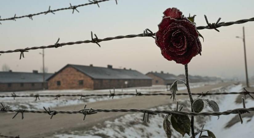 Ő volt a holokauszt egyik legfiatalabb túlélője: 4 évesen szabadult a koncentrációs táborból