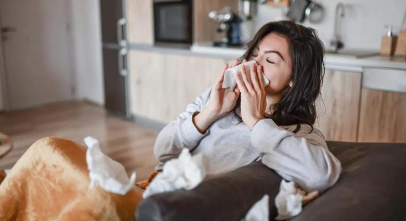 5 egyszerű trükk, ami drámaian csökkenti az allergéneket a lakásban
