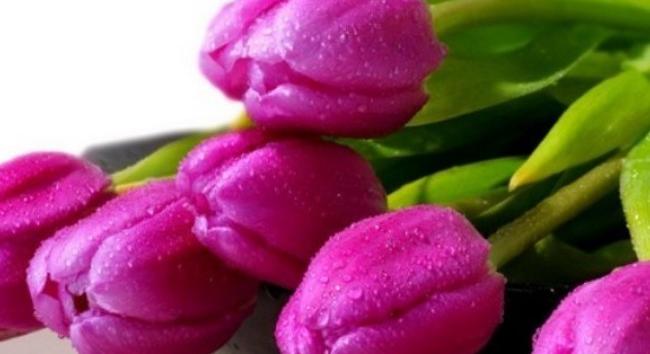 Március 8. - A nőnap története és jelentősége