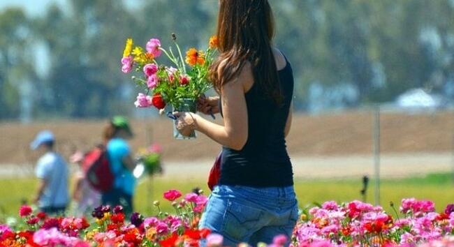 Időjárás-előrejelzés vasárnapra - Ilyen időjárás várható március 8-án, nőnapon