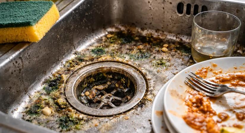 A konyhai mosogató, egy naponta használt edény, talán a legtöbb penésznek ad otthont az egész házban. A legtöbb ember egyáltalán nem tisztítja.