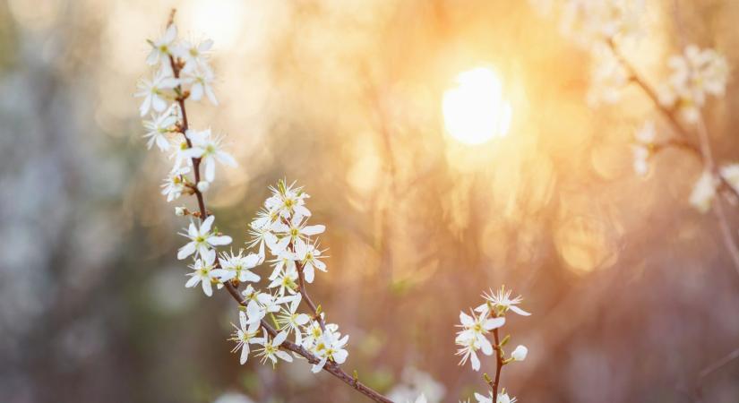 Időjárás 2026. március 8.: Szikrázó napsütéses vasárnap