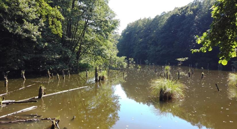 Tavaszi zsongás a Kisalföldön - Ideális kirándulóidő vár ránk vasárnap