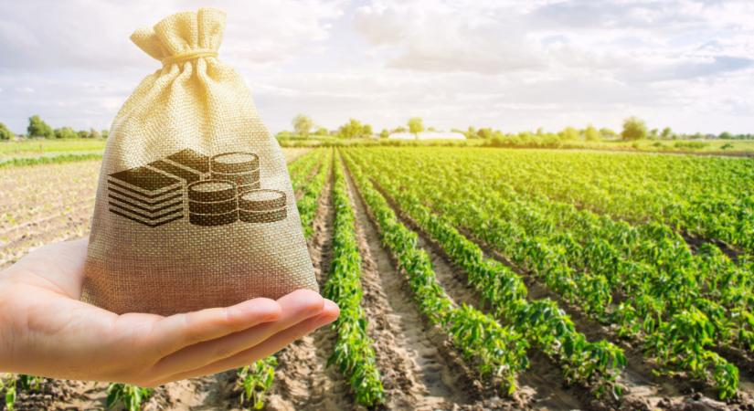 Durva, de igaz: ennyiért melózhatnak ma a magyarok a mezőgazdaságban