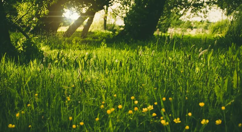 Nincs mese! Igaz tavaszi időjárással tör be a március
