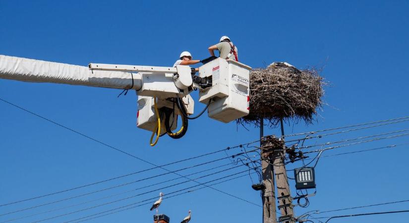 Ilyen szuper fészkekben költhetnek gólyák Győr-Moson-Sopronban - fotók