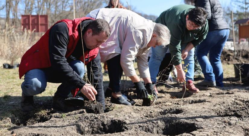 Ki nem találná, mit telepítettek a városban először! (fotók, videó)
