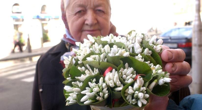 KVÍZ: Te hány kérdésünkre tudod a helyes választ? Töltsd ki nőnapi kvízünket!