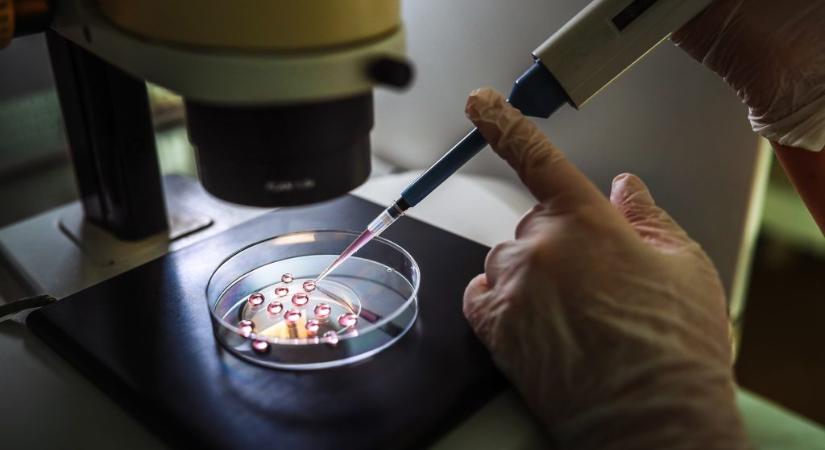 Kétszeres különbségek lehetnek egyes hazai lombikintézetek eredményessége között, megszereztük az adatokat