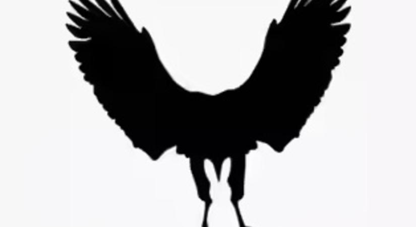 Sas vagy nyúl? Amit először meglátsz a képen, elárulja a legnagyobb félelmedet