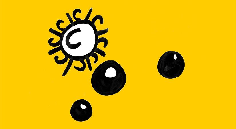 Tim Mariann: Vetésforgó