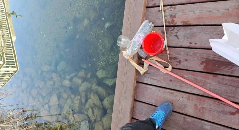 Díszhalakat akartak fogni a Vizafogó parkban