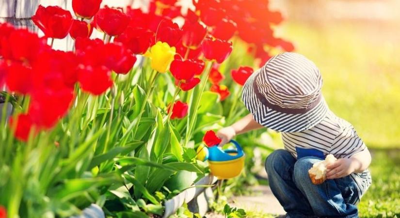 Végre valaki megmondta a tutit – Elég a rétegekből!