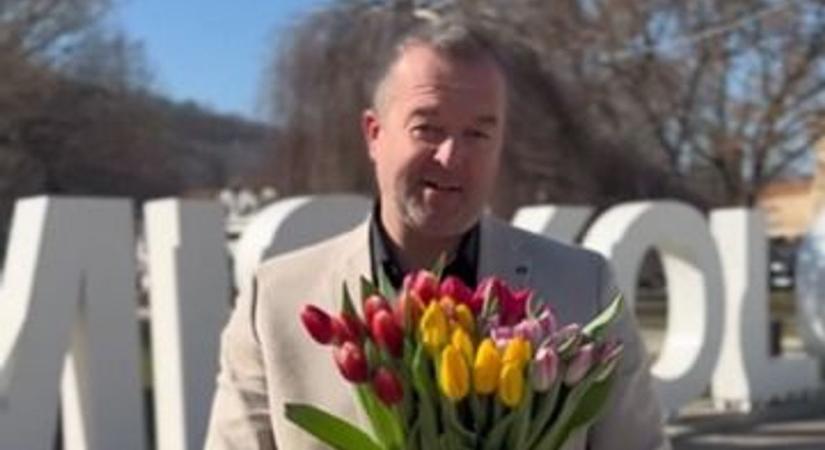 Hollósy András meglepte a hölgyeket nőnapon Miskolc belvárosában (videó)