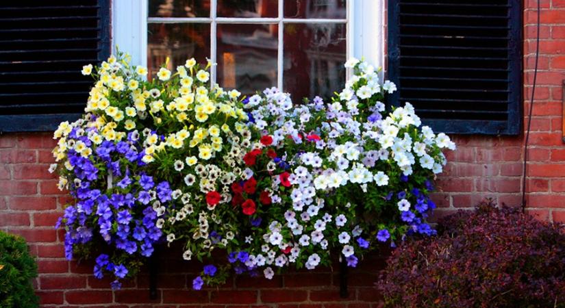 GardenExpo: három nap a kertek bűvöletében