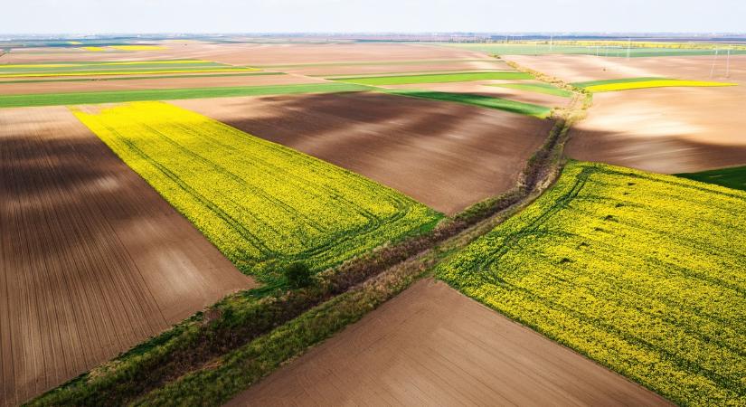 Döbbenetes adatok a régióból: ezért irigykedhetnek ránk a román és szlovák gazdák
