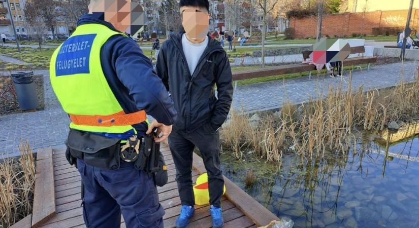 Díszhalak kihorgászását akadályozták meg az angyalföldi közteresek