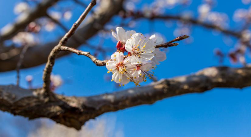 Teljesen felborult a rend Magyarországon: sosem volt még ilyen meleg idén, mint ezen a magyar településen