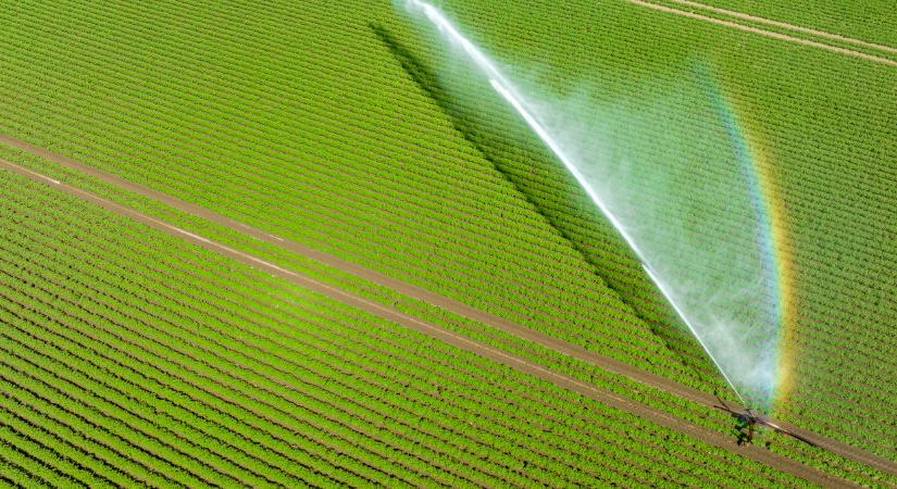 Évtizedes hiba miatt üthetik meg a bokájukat a magyarok? Ez kemény