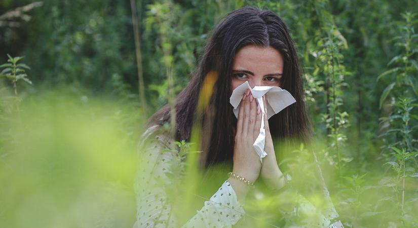 Allergia: ennek tényleg soha nem lesz vége?!