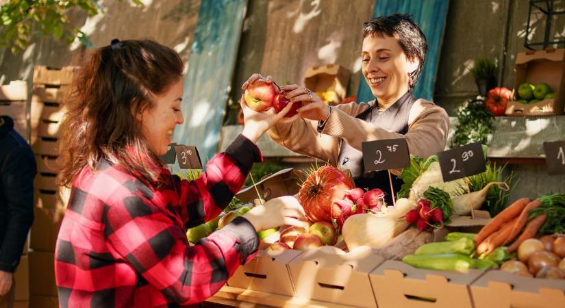 Online értékesítés és márkaépítés: Így néz ki egy modern magyar gazdaasszony 2026-ban