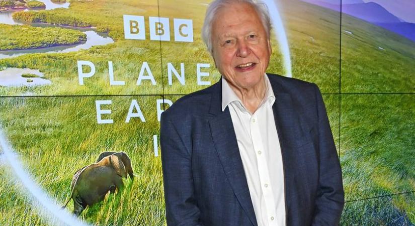 Idén 100 éves lesz David Attenborough: ekkor ünnepli a szülinapját