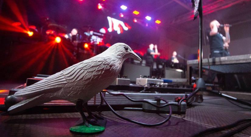 Teltházas szuperkoncert Hevesen – a Kowalsky meg a Vega lépett színpadra