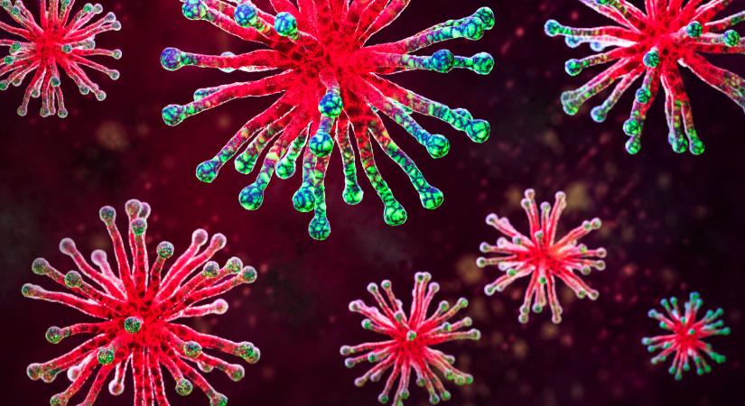 Döbbenetes felfedezést tettek a kutatók: ez sok mindent megváltoztathat