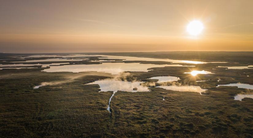 Új tájékoztató segíti természetközeli és vizes élőhelyek kialakítására kiírt pályázat benyújtását