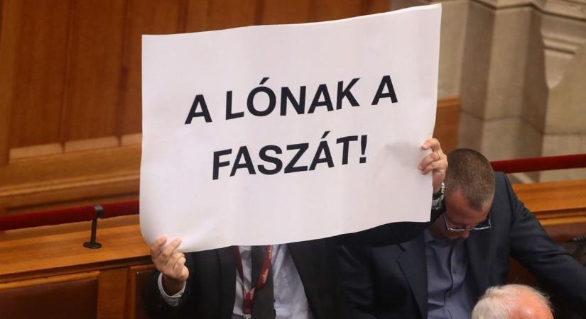 Magyar választás külföldi segítséggel - ezt akarja Fekete-Győr András