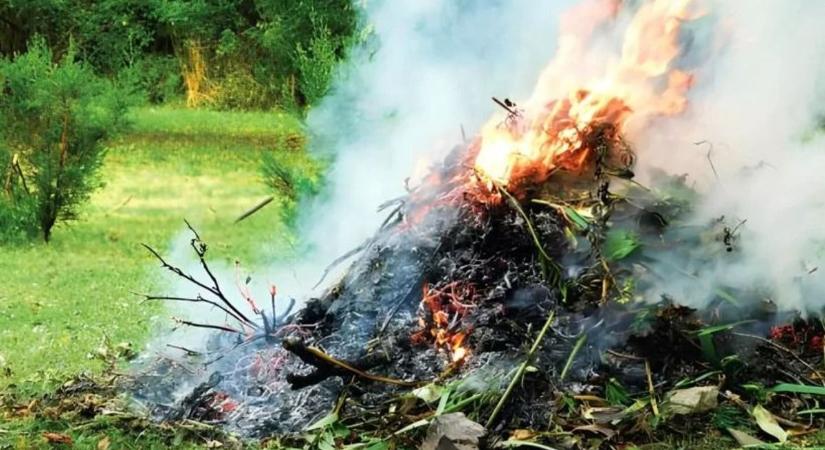 Kerti hulladék kezelése: ezt írja elő a helyi rendelet