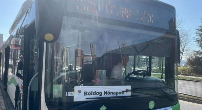 Ismét sokakat meghatott: nőnapi gesztusával lett népszerű egy miskolci buszsofőr