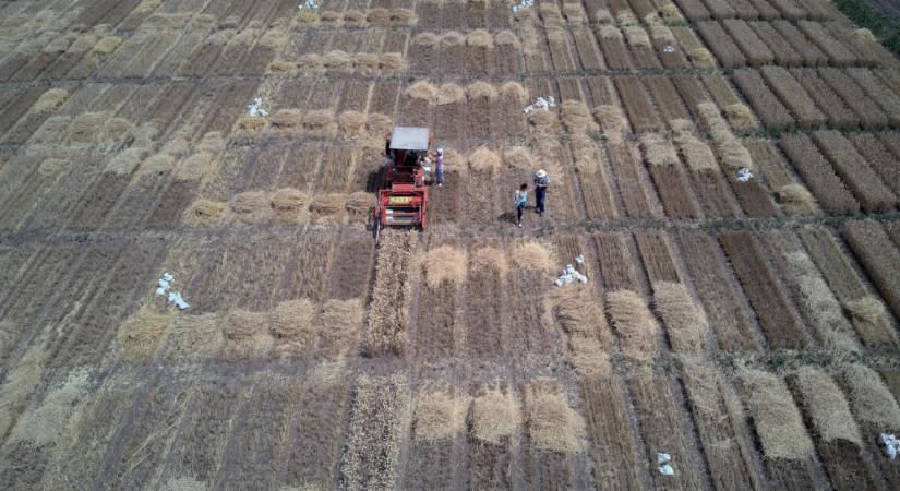 Öt hónap után februárban ismét emelkedett a FAO élelmiszerár-indexe