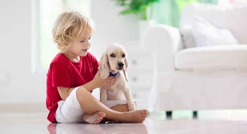 5 dolog, amit egy állat megtanít a gyereknek