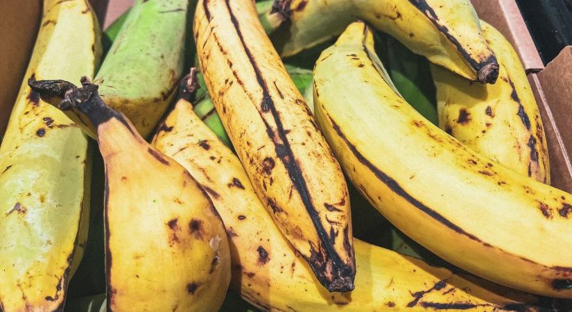 Íme egy banán, amit hasáb helyett ehetsz - kóstoltad már?