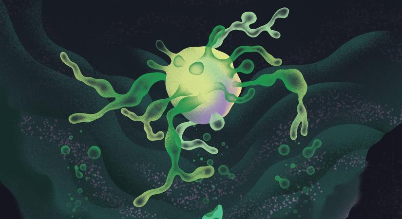 Hogyan kezdtek mászni a mikrobák?