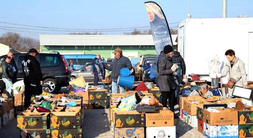 Elveszett újságíró, porcelán kacsa és 30 ezres sonka – ilyen volt a dorozsmai vásár vasárnap