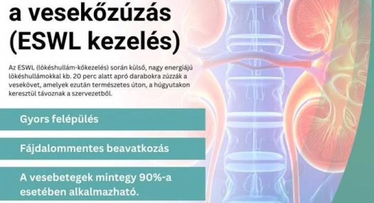 Újra elérhető a vesekőzúzás 