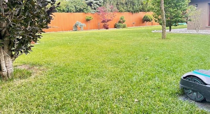 Ezen múlik a gyönyörű pázsit: ha most elrontja, egész nyáron sárga lesz a fű a kertben