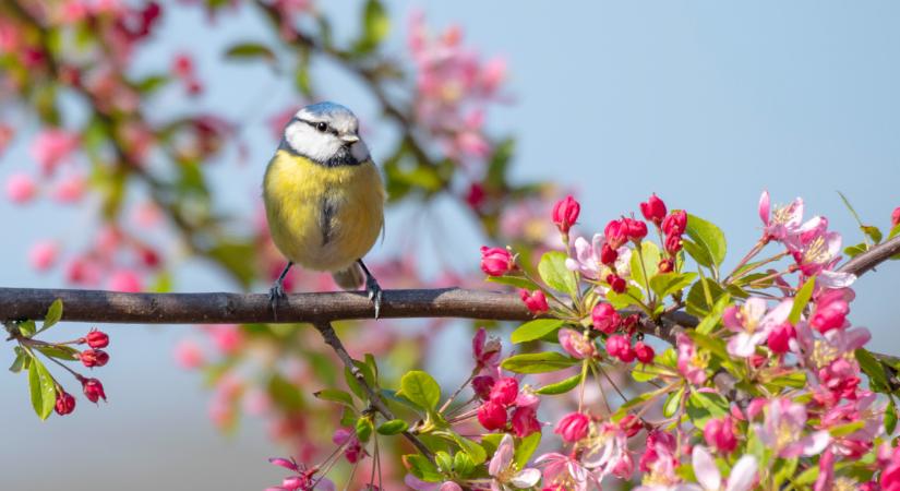 Megvan, mennyi eső eshet a jövő héten itthon: ez vár a magyarokra