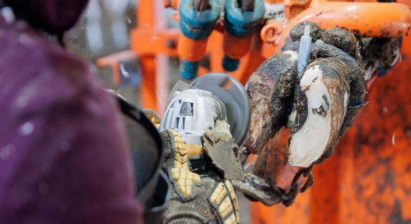 Mindenki a takarmányra figyel, pedig máshol is elúszhat a jó tejhozam