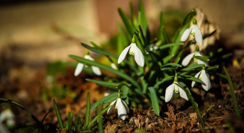 Meteorológia: az átlagosnál 7-8 Celsius-fokkal magasabb volt a hőmérséklet szombaton napközben