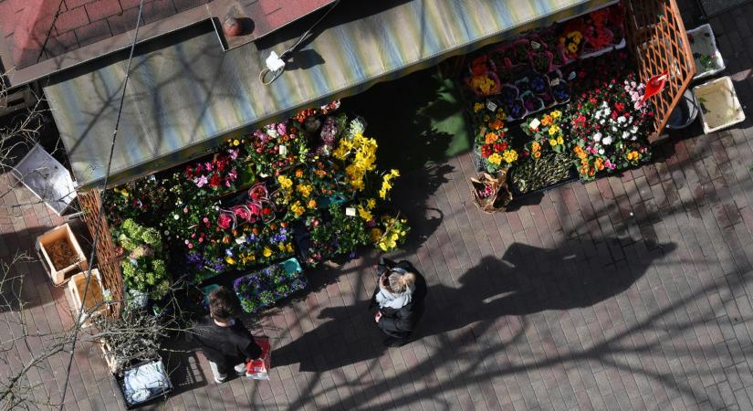 A virágot vásárlók nincsenek veszélyben, de a virágárusok családja igen
