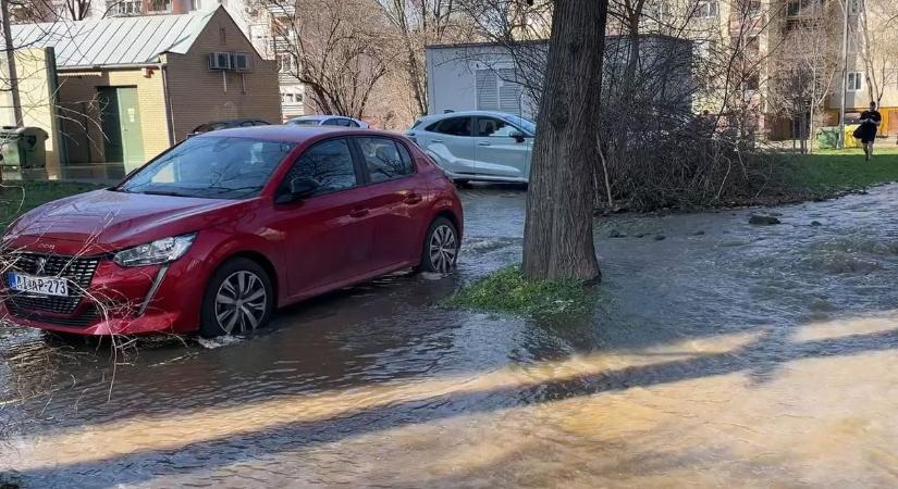 Percek alatt folyó lett az utcából – újabb csőtörés kavarta fel Szegedet (videó)