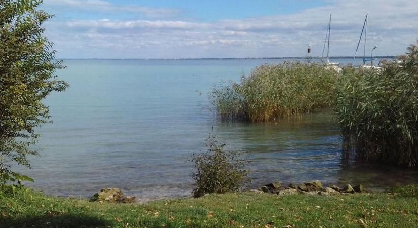 Egy friss kutatás szerint a megkérdezettek többsége egy természetközelibb Balatont szeretne