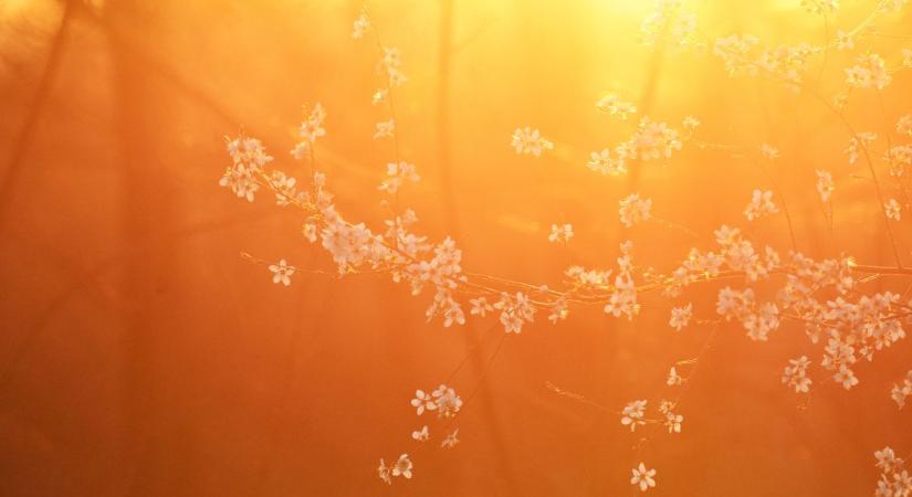 A tavaszi szél most nem áraszt vizet - ilyen időjárással kezdődik a hét!