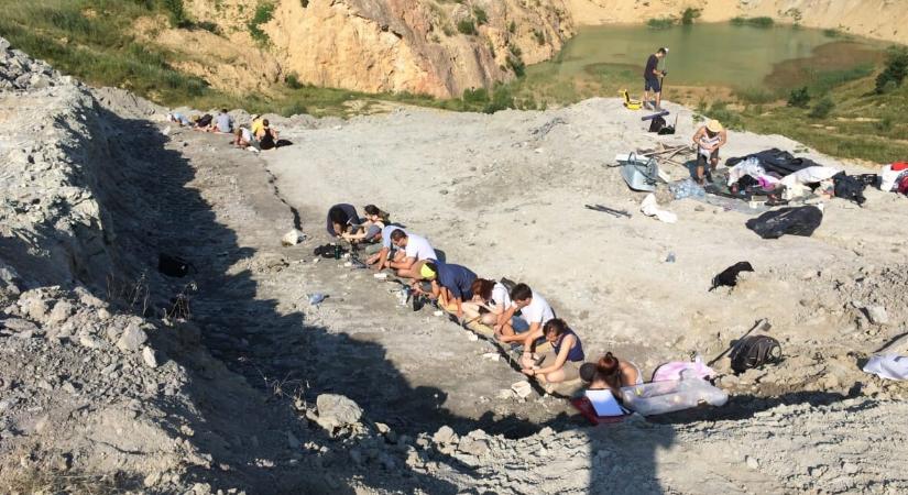 Szárazföldi őskrokodil élt a Bakonyban 80-85 millió évvel ezelőtt