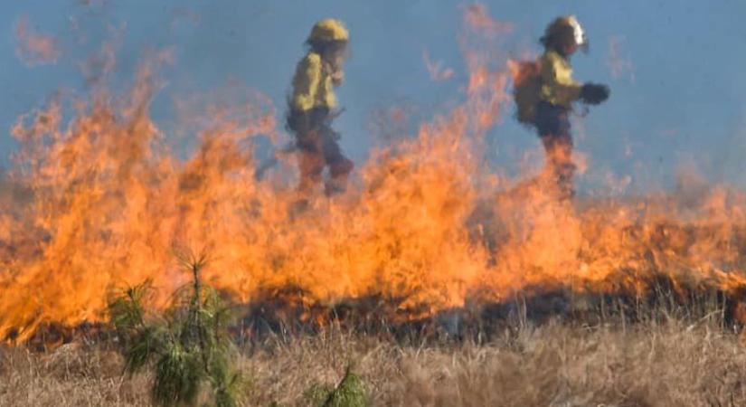 Hollóházánál az aljnövényzet, Mezőzombornál a nádas égett