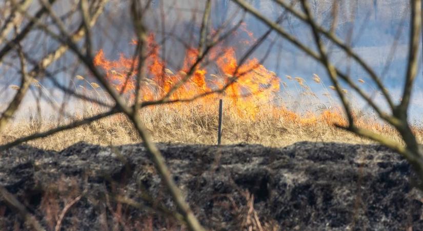 Sűrű, fekete füst száll a magasba, hatalmas lángokat kaptak lencsevégre Tiszafüred határában – videóval