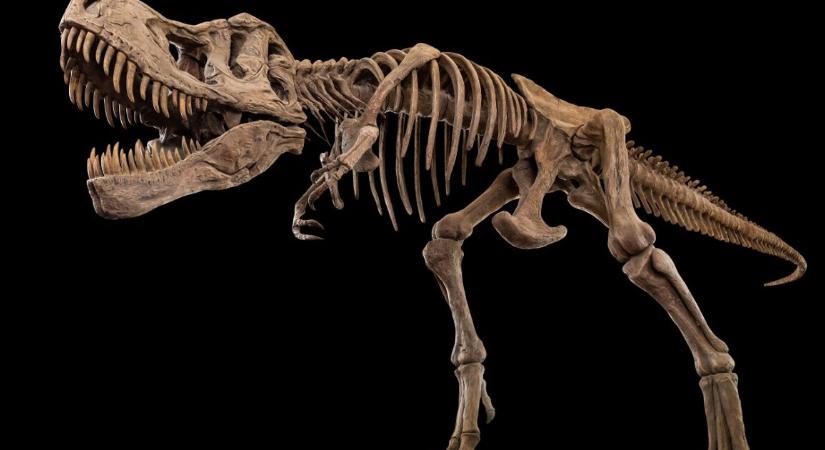 Ezért nézi most mindenki Spielberg dinoszauruszait a Netflixen